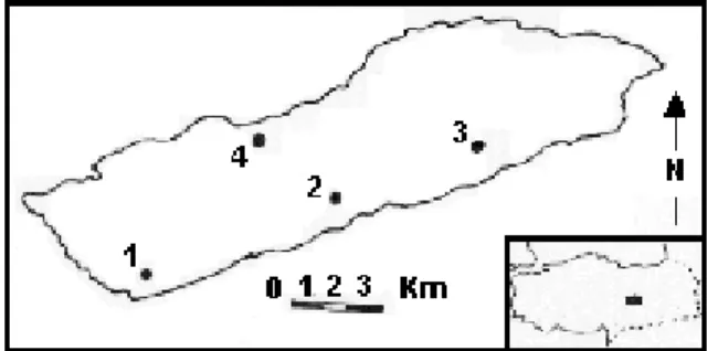 Şekil 1. Hazar Gölü’ nün haritası ve çalışma bölgeleri 