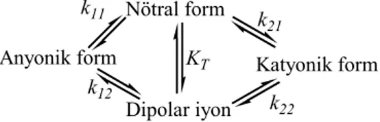 Şekil 1. Mikroskopik sabitler k 11 , k 12 , k 21 , k 22  ve dipolar iyonik sabit K T 