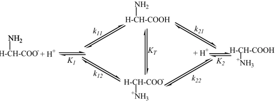 Şekil 2. Glisinat iyonunun protonlanması  