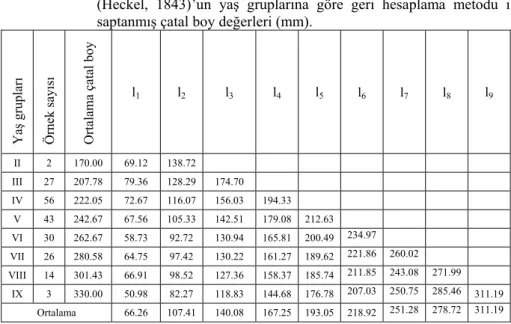 Tablo 1.  Keban  Baraj  Gölü’nde  yaşayan  Barbus rajanonum mystaceus 