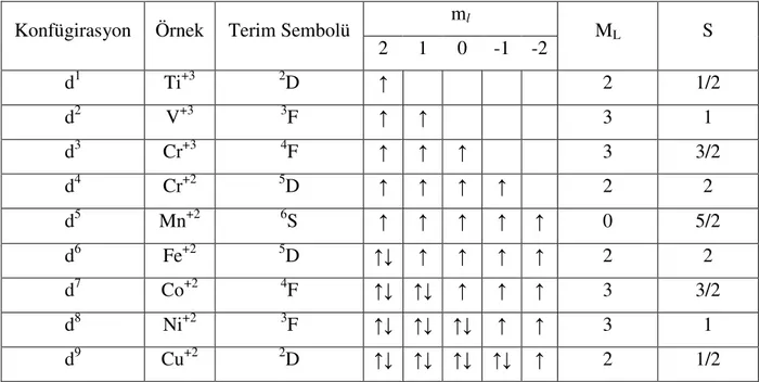 Tablo 1.1 d 1 -d 9  Konfügirasyonlarını Terim Sembolleri  m l