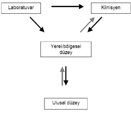 Şekil 3.Lokal ve ulusal düzeyde önerilen TB olgu bildirim akışı.