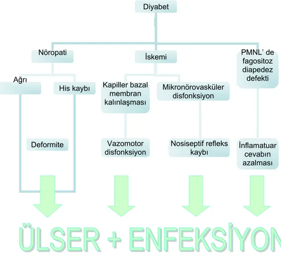 Tablo 1. Diyabetik ayak etyopatogenez.