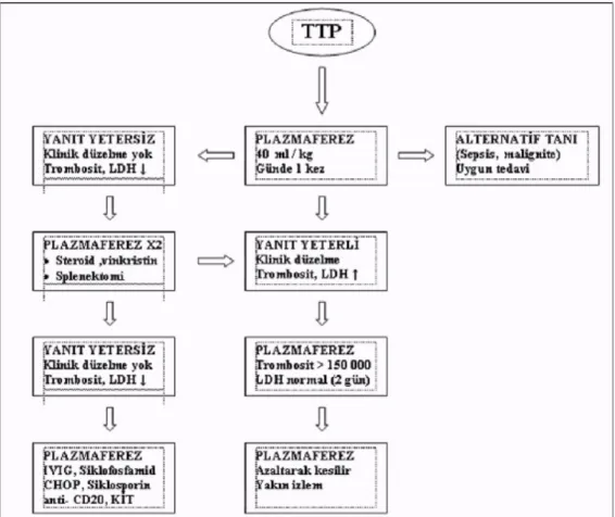 Şekil 3. Akut TTP'li hastalarda uygulanabilecek tedavi algoritması (58)