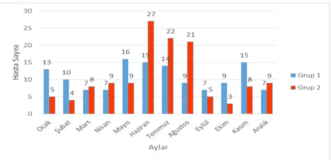 Şekil 5.Grup 1 ve 2’ deki olguların hastaneye yatırıldıkları aylar(Grup 1; Rotavirüs ve/veya