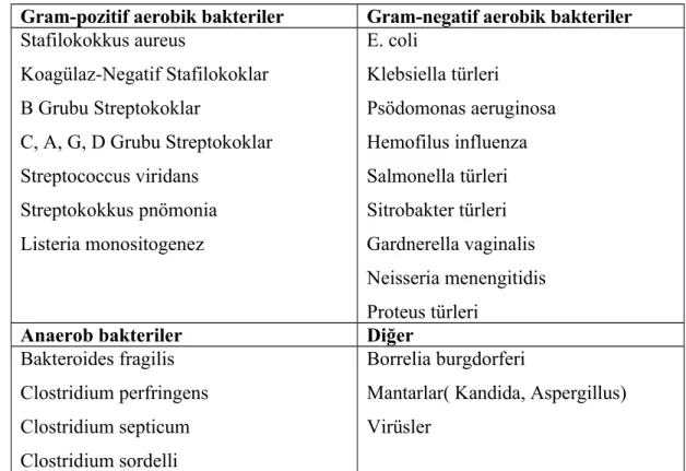 Tablo 1:Neonatal sepsise yol açabilen mikroorganizmalar