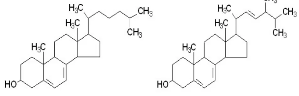 Şekil 3.  7-dehidrokolesterol ve . ergosterol (8).