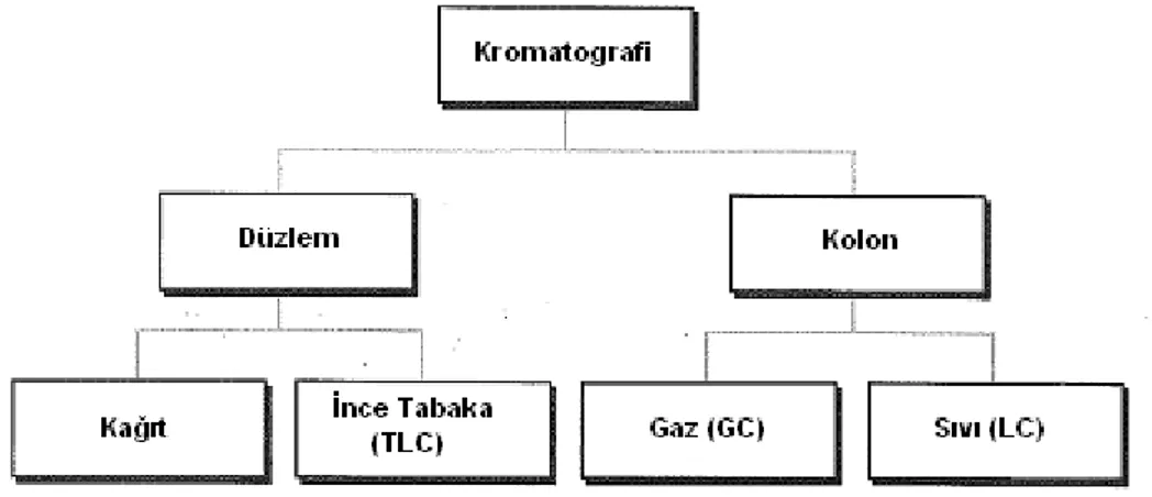Şekil 8. Kromatografi türleri (8).