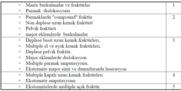 Tablo 2e: AIS organ ve yaralanmalarına göre puanlama