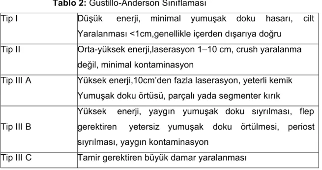 Tablo 2: Gustillo-Anderson Sınıflaması
