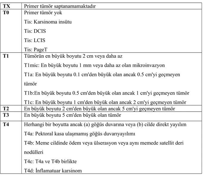 Tablo 3: Primer Tümör (T) (74).