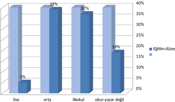 Şekil 1: Adolesan gebelerde eğitim düzeyinin dağılımı