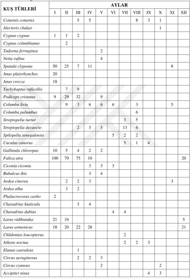 Çizelge 4.4. GölbaĢı Gölü‟nde tespit edilen kuĢ türlerinin maksimum birey sayılarının aylara göre  