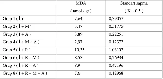 TABLO 6 : Gruplarda elde edilen ortalama MDA de erleri ve standart sapmalar