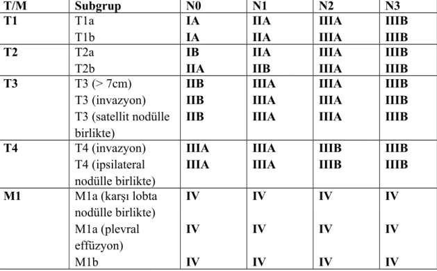 Tablo 5: Akciğer kanserinde TNM evrelemesi 31