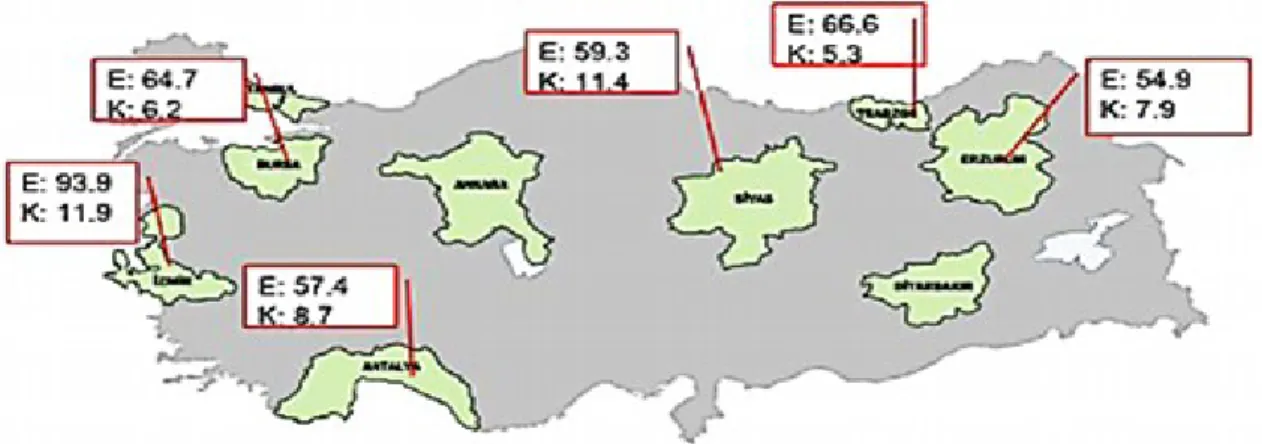 Şekil  5.  Türkiye’de  akciğer kanserinin  bölgelere göre  sıklığı  (100.000 de) [Türk