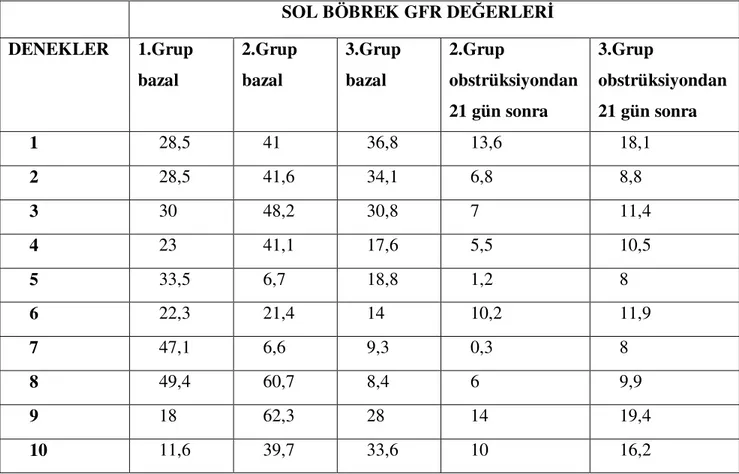 Tablo 2: Sol böbrek GFR değerleri                