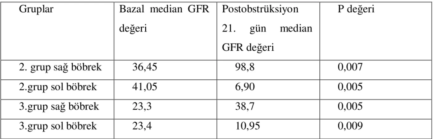 Tablo  3:  2.  ve  3.  Grupta  obstrüksiyondan  önce  ve  obstrüksiyondan  21  gün  sonraki  sağ  ve  sol  böbreğe ait ortalama GFR değerleri yer almaktadır