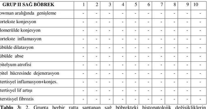 Tablo  3:  2.  Grupta  herbir  ratta  saptanan  sağ  böbrekteki  histopatolojik  değişikliklerin  derecelendirilmesini gösteren tablo 