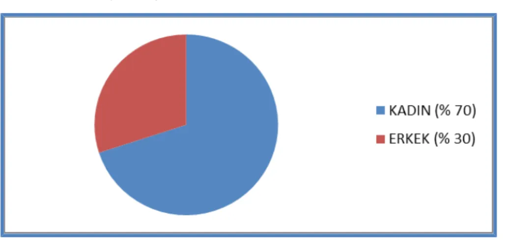 Grafik 1: Cinsiyet dağılımı.