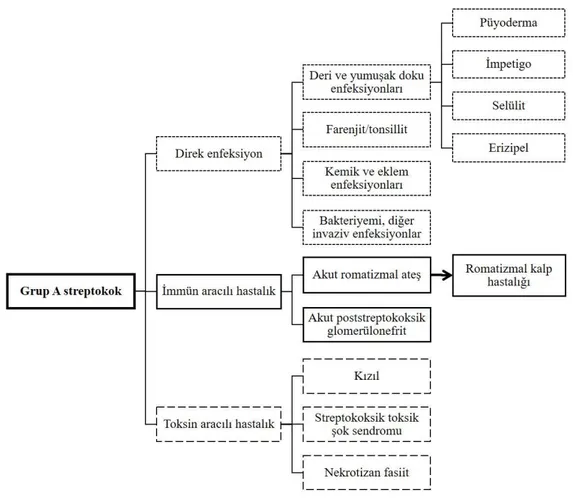 Şekil 1: A grubu beta hemolitik streptokokların sebep olduğu hastalıklar (25)