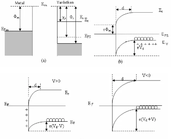 Şekil 2.1 Metal p-tipi yarıiletken doğrultucu kontağın enerji-bant diyagramı  a)Kontaktan   önce, b) Kontaktan sonra termal dengede,  c)V≠ 0 olması durumunda  Fermi seviyesi metalın Fermi seviyesinden   Φ s  - Φ m  kadar aşağıdadır