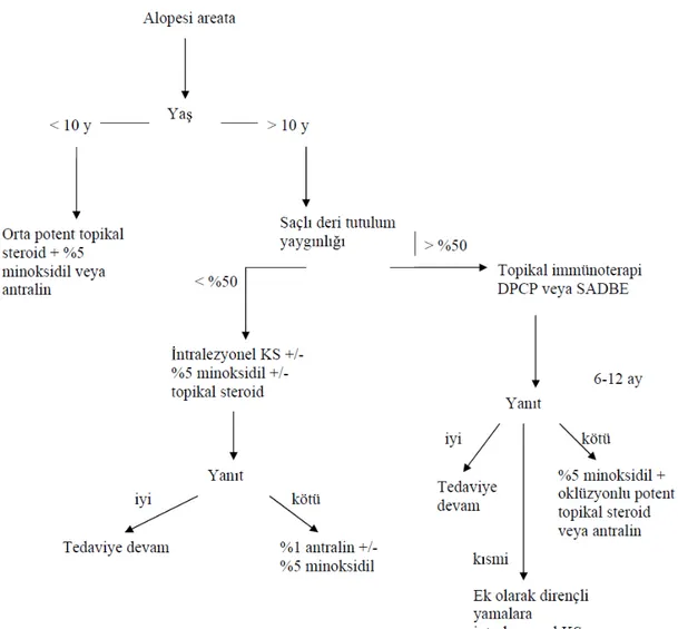 Şekil 1. Alopesi areatada hasta yaşı ve yaygınlığına göre tedavi algoritması