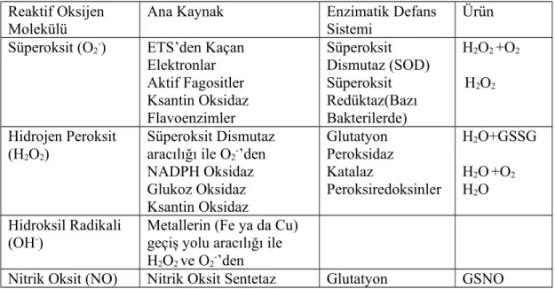 Tablo 1. Major reaktif oksijen türleri ve metabolizmaları