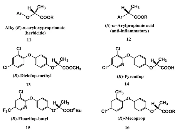 Şekil 1.8 Çeşitli α-ariloksipropiyonik asit esaslı herbisit eutomerlerin yapıları   COOROCH3HArCOORArCH3HOClCH3 COOROCH3HOClClCOOCH3OCH3HONClClCOOHOCH3HONF3CClCOOnBuOCH3H(R)-Mecoprop(R)-Diclofop-methyl(R)-Pyrenifop(R)-Fluazifop-butylAlky (R)--aryloxypropr