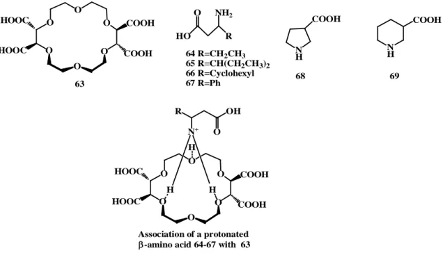 Şekil 2.14. KSR 63 ve protonlanmış β-amino asit ile kompleksleşmesinin yapısı 