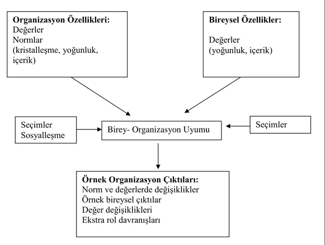Şekil 3:  Birey- Organizasyon Uyumunu Gösteren Bir Model.  Kaynak: ( Chatman, 1989: 340)  
