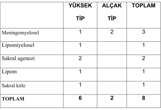 Tablo 12. Spinal kord anomalilerin tiplere göre dağılımı. 