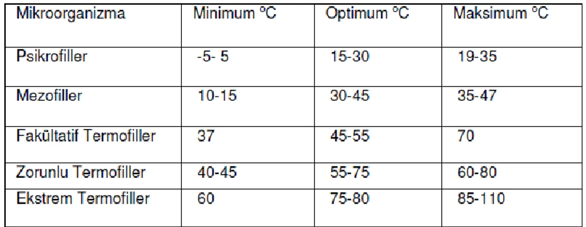 Tablo  2.1.  Mikroorganizmaların  minimal,  optimal  ve  maksimal  üreme  sıcaklıklarına  göre  sınıflandırılması (Arda, 2000 )