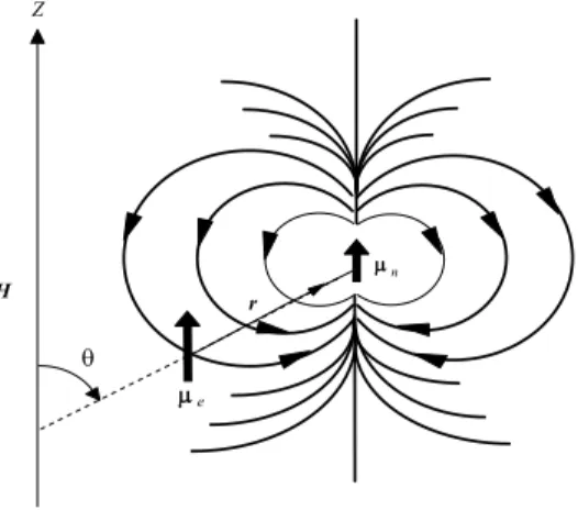 Şekil 1.6 Elektronun spini ile çekirdek spini arasında meydana gelen dipolar etkileşme 