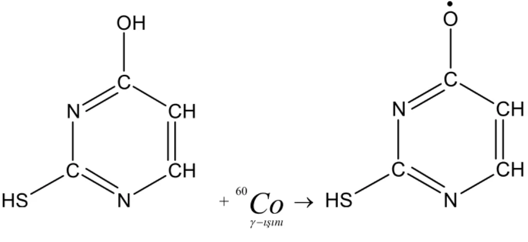 Şekil 4.5 Işınlama sonucu 2- Tiyourasil molekülünde oluştuğu düşünülen radikalin yapısı