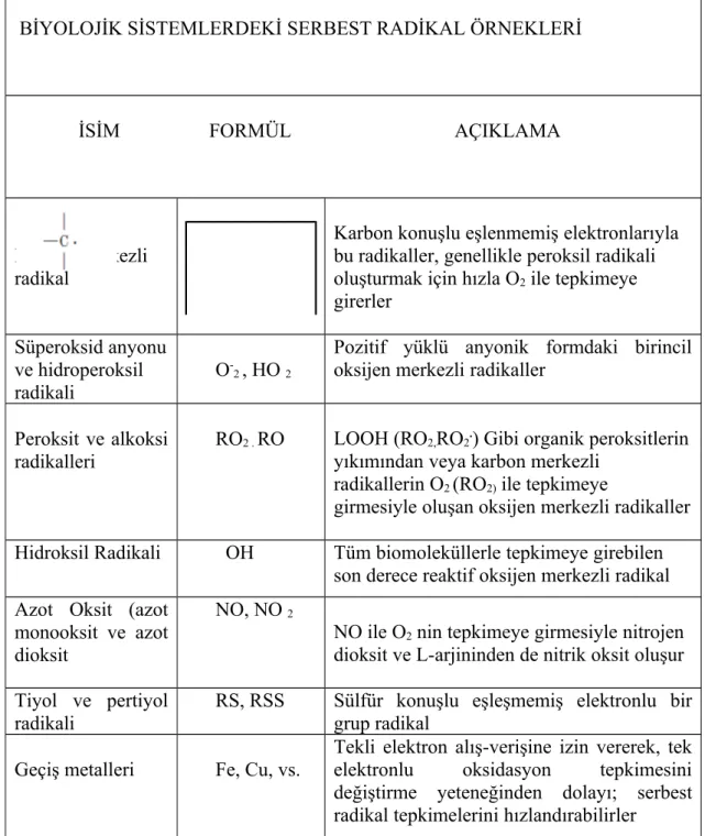 Tablo 2.3.2. Biyolojik Sistemlerdeki Serbest Radikal Örnekleri