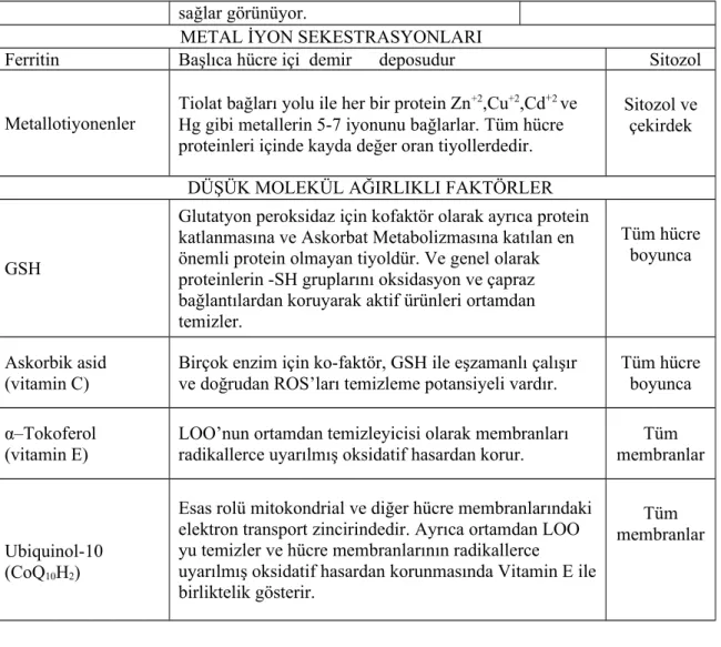 Tablo 2.3.5.8: Hücre dışı antioksidanlar.     HÜCREDIŞI ANTİOKSİDANLAR