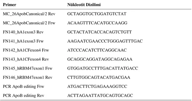 Çizelge 3.3. PCR amplifikasyonunda kullanılan primerler  Primer  Nükleotit Dizilimi 