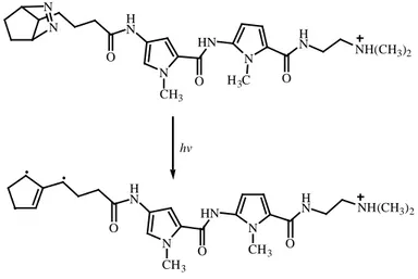 Şekil 1.14. Bir diazene ürününden oluşan distamisin-bağlı trimetilenmetanın foto-oluşumu 