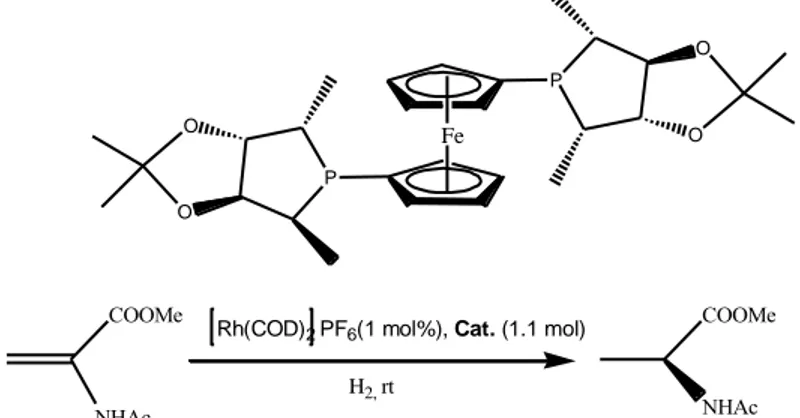 Figure 5. Asymmetric hydrogenation of α-(N- acetamido)acrylate” 