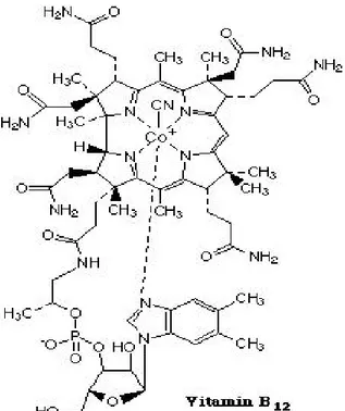 Şekil 1. Vitamin B12 