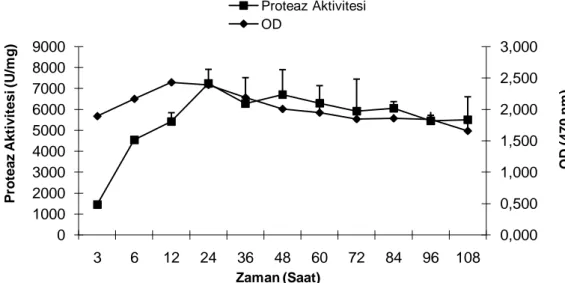 Şekil 4.4. BM besi yerinde değiĢik inkübasyon sürelerinin enzim üretimi üzerindeki etkisi  4.1.5