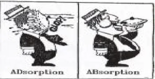 Şekil 2.2. Adsorpsiyon ve absorpsiyon