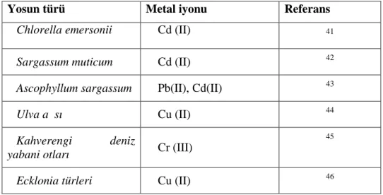 Çizelge 2.3. Ağır metal iyonların adsorpsiyonunda kullanılan bazı yosunlar