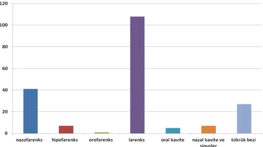 Şekil 6 Lokalizasyon dağılımı