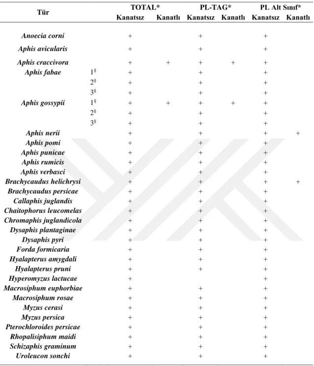 Çizelge 3.5.  Analizi yapılan afit türleri ile % olarak yağ asidi bileşimi belirlenen lipit sınıfları 