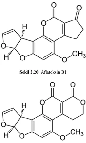 Şekil 2.20. Aflatoksin B1  