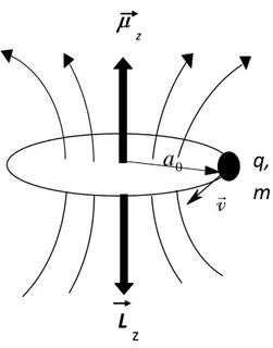 ġekil  2.1 Bohr yörüngesinde v çizgisel hızı ile hareket eden q yüklü parçacığın L  açısal momentumu ve µ yörüngesel manyetik momentin gösterimi 