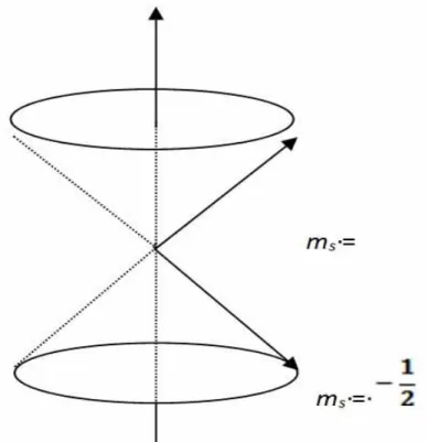 Şekil 2.1. Manyetik alan içinde, alana paralel ve anti-paralel                  yönelen spinler alan etrafında Larmor frekansıyla                  yaptıkları presesyon hareketi 