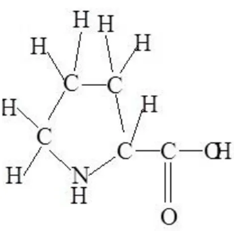 Şekil 4.1. L-Prolin‟in kimyasal yapısı 